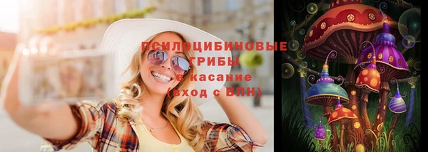 не бодяженный Ладушкин