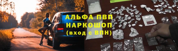 не бодяженный Ладушкин