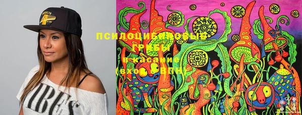 не бодяженный Ладушкин