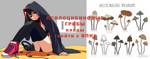 не бодяженный Ладушкин