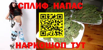 гашик Нальчик