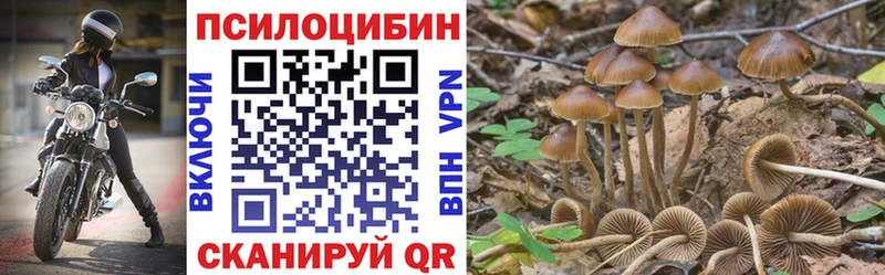 цена наркотик  Муравленко  Псилоцибиновые грибы MAGIC MUSHROOMS 