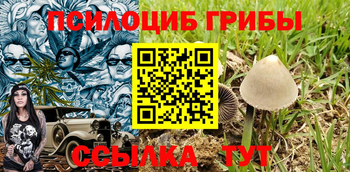 Муравленко  Галлюциногенные грибы прущие грибы  Вход с VPN 