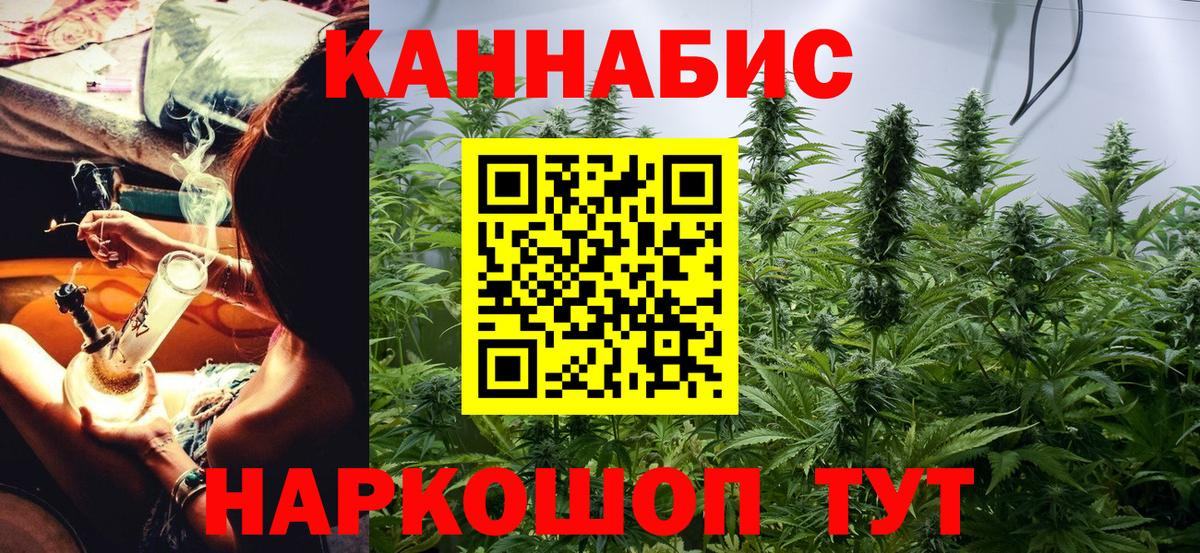 Конопля сатива Муравленко
